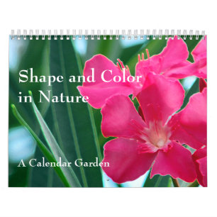 Shape and Colour in Nature Calendar