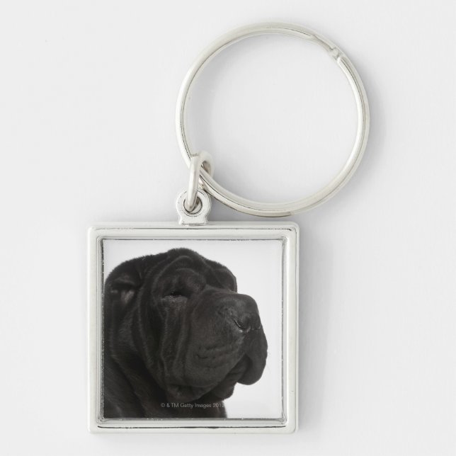 Shar Pei (1 year old) close-up Key Ring (Front)