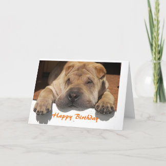Shar Pei Birthday Card