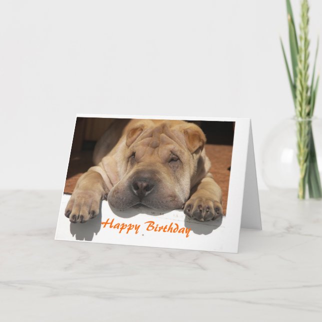 Shar Pei Birthday Card (Front)