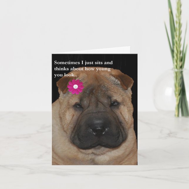 Shar Pei Birthday card-Just Sits Card (Front)