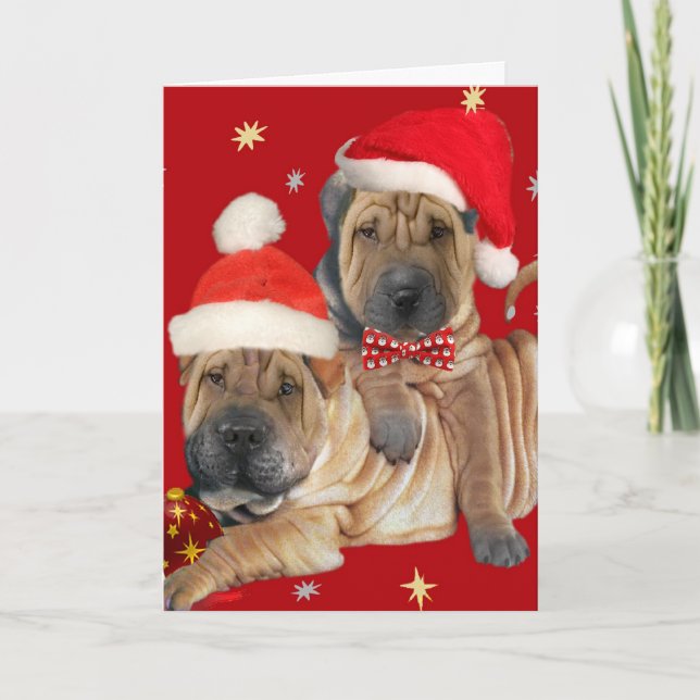 Shar-pei Brothers Christmas Cards (Front)