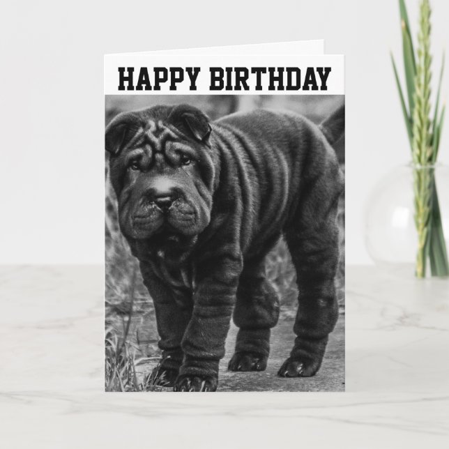 SHAR PEI DOG CUTE BIRTHDAY CARD (Front)