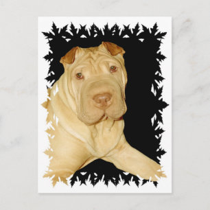 Shar Pei Dog Postcard