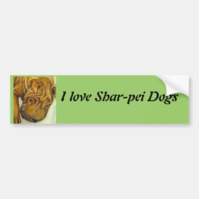 Shar-Pei Dogs bumper sticker (Front)