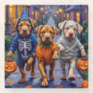 Shar Pei Dogs Trick-or-Treating Halloween Costumes Glass Coaster