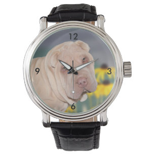 Shar Pei face Watch