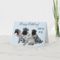 Shar Pei Happy Birthday From All of Us Puppy