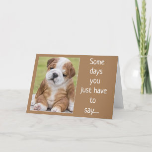 SHAR PEI IS A COMEDIAN FOR YOUR BIRTHDAY CARD