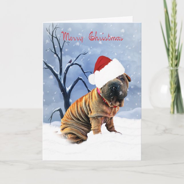 Shar-Pei Merry Christmas Card - Shar-Pei In A Chri (Front)