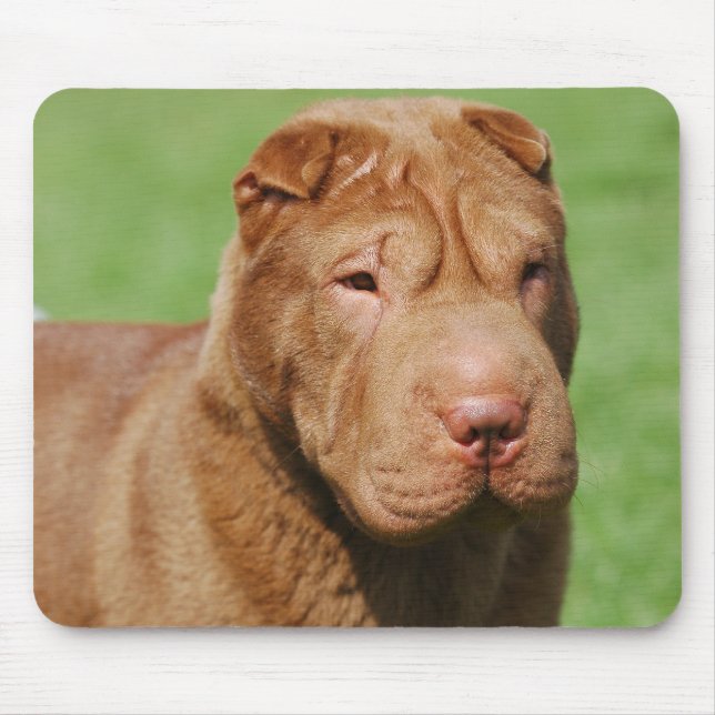 Shar Pei Mouse Pad (Front)
