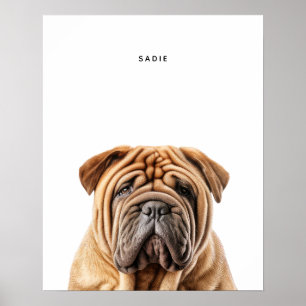 Shar Pei Personalized Print
