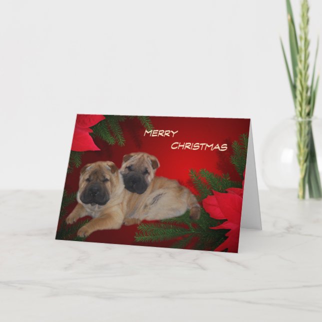 Shar Pei Puppies Poinsettia card (Front)