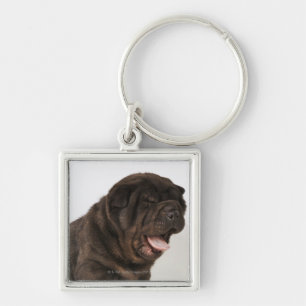 Shar Pei puppy yawning, studio shot Key Ring