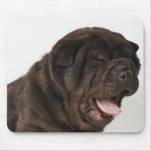 Shar Pei puppy yawning, studio shot Mouse Pad