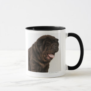 Shar Pei puppy yawning, studio shot Mug