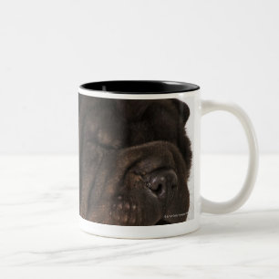 Shar Pei puppy yawning, studio shot Two-Tone Coffee Mug