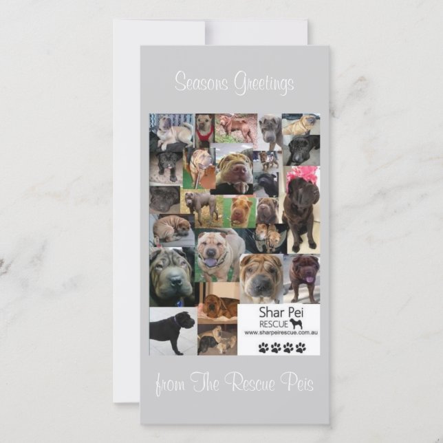 Shar Pei Rescue Xmas Card (Front)