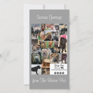 Shar Pei Rescue Xmas Card