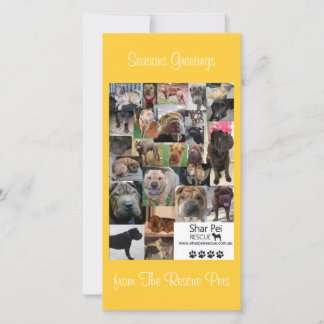Shar Pei Rescue Xmas Card