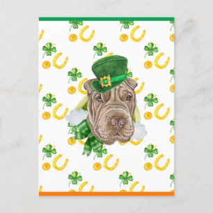 Shar Pei Shamrock St. Patricks Day Holiday Postcard