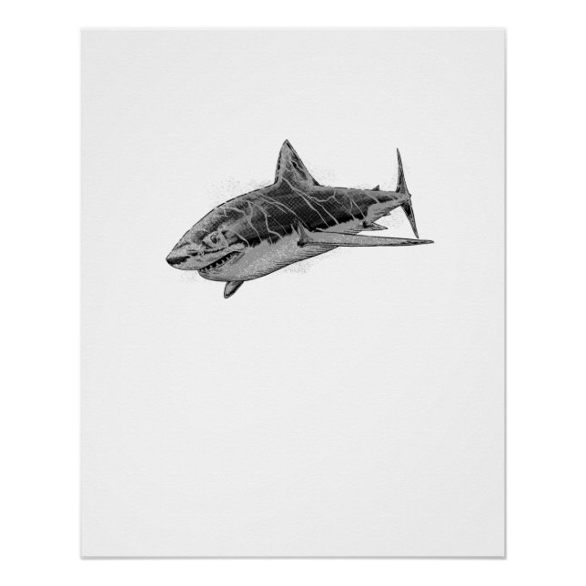 Sharck attack poster (Front)