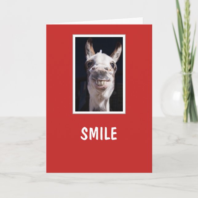 Share a Smile - Denis the Donkey Smile Holiday Card (Front)