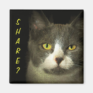 SHARE? Got Leftovers? Hugery Kitty Magnet