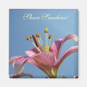 Share Sunshine! Magnet Pink Calla Lilies Blue Sky