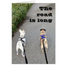 Share the journey