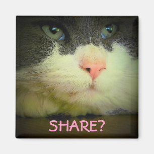 Share with kitty? magnet
