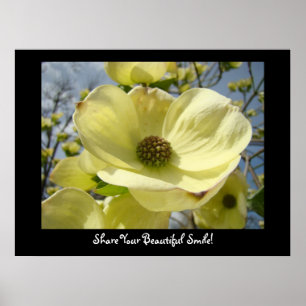 Share Your Beautiful Smile! art prints Healing art