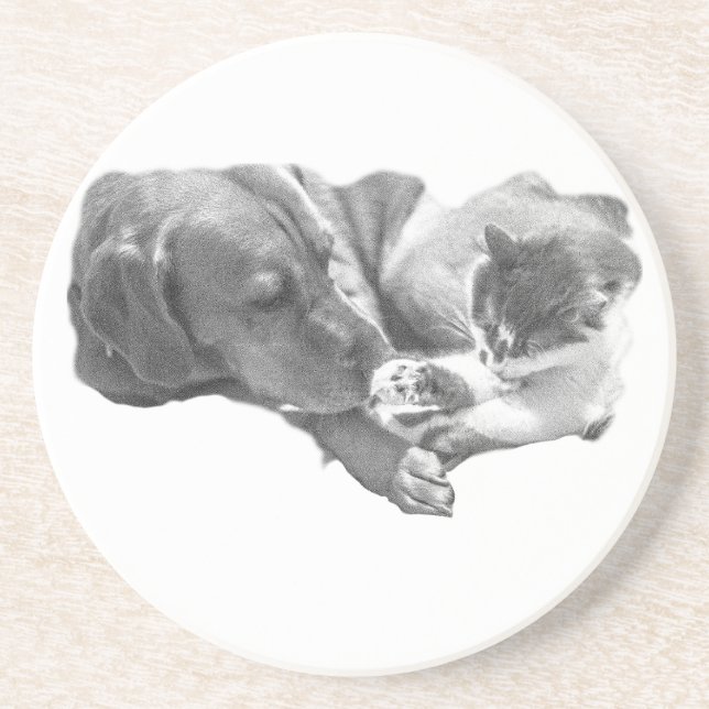 Shared Peace Coaster (Front)