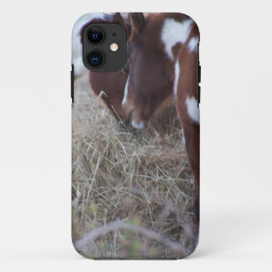 Sharing iPhone 11 Case
