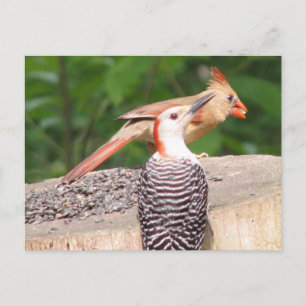 Sharing Seed Postcard