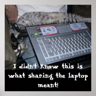 Sharing the Laptop Poster