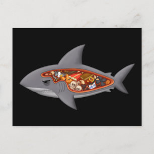 Shark Anatomy Postcard