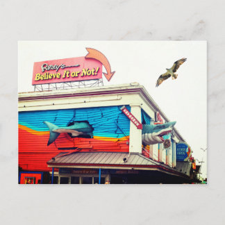 Shark and Osprey Holiday Postcard