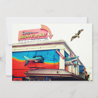 Shark and Osprey Thank You Card