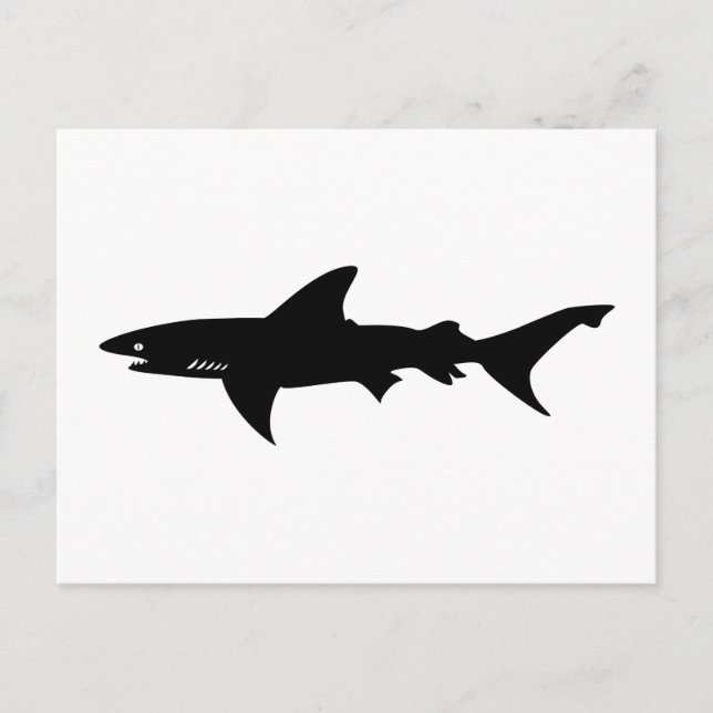 Shark Attack - Diving with Sharks Elegant Black Postcard (Front)