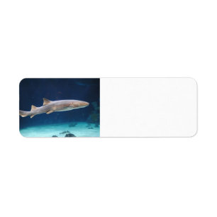Shark Avery Label Return Address Label