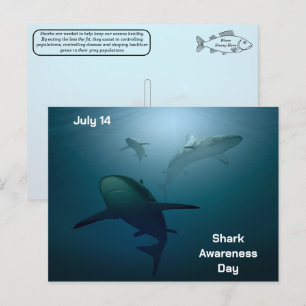 Shark Awareness Day - July 14 - Postcard