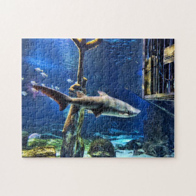 Shark Bait Jigsaw Puzzle (Horizontal)