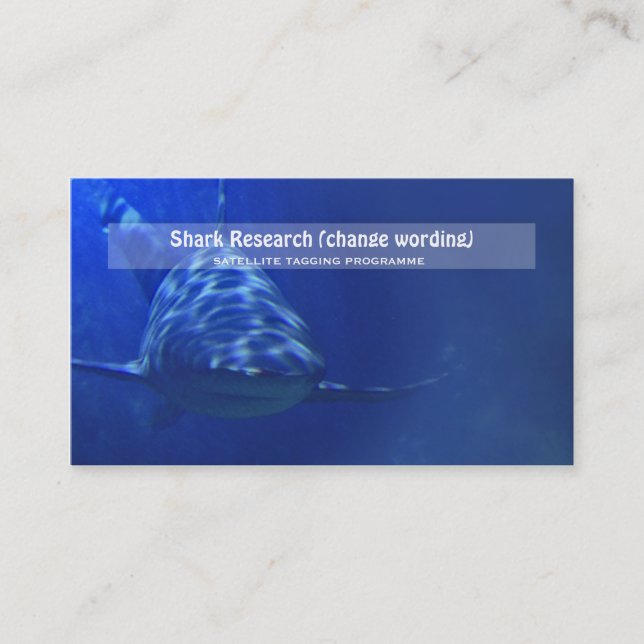 Shark biology marine research business card (Front)