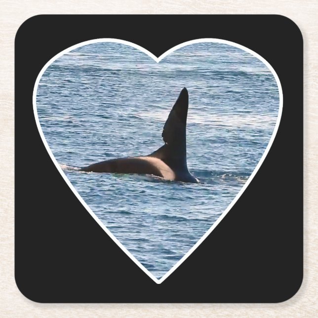 Shark Bite Fin of "John Coe" Orca Coaster (Front)