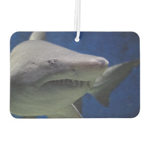 Shark Car Air Freshener. Car Air Freshener