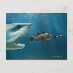 Shark chasing sea bass chasing juvenile postcard