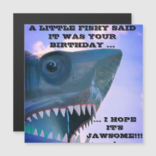 SHARK CRUISE DOOR MAGNET