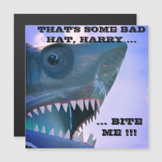 SHARK CRUISE DOOR MAGNET