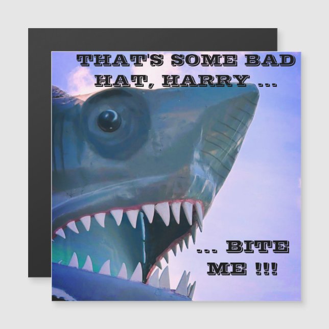 SHARK CRUISE DOOR MAGNET (Front/Back)